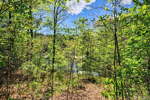 75 Gunpoint Rd, Cullowhee, NC 28723 - photo 23