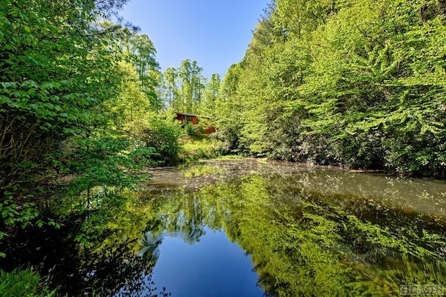 75 Gunpoint Rd, Cullowhee, NC 28723 - photo 22