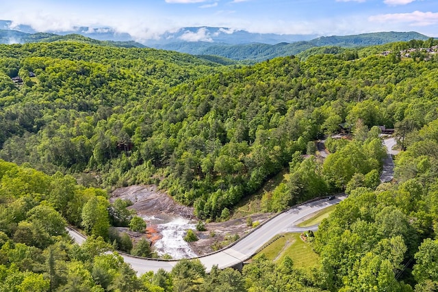 LOT105 Tanglewood Dr, Lake Toxaway, NC 28747 - photo 13
