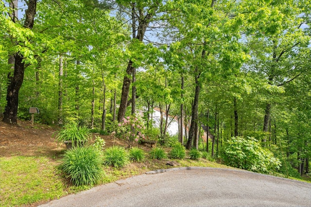 LOT105 Tanglewood Dr, Lake Toxaway, NC 28747 - photo 2