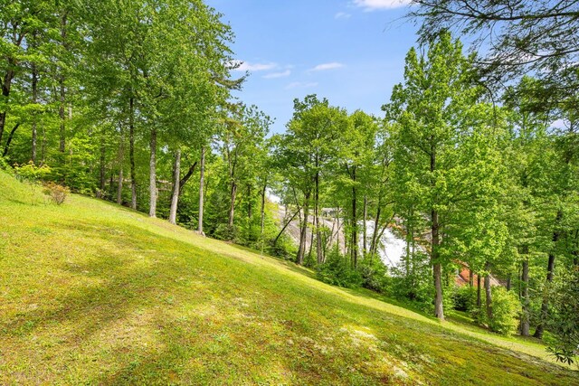 LOT105 Tanglewood Dr, Lake Toxaway, NC 28747 - photo 4