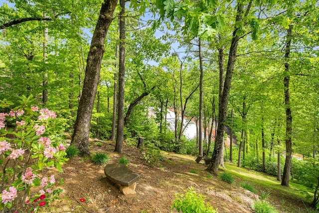 LOT105 Tanglewood Dr, Lake Toxaway, NC 28747 - photo 20