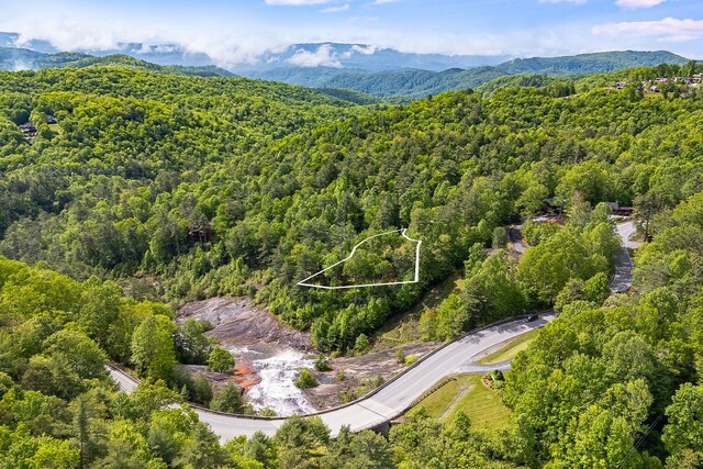LOT105 Tanglewood Dr, Lake Toxaway, NC 28747 - photo 9