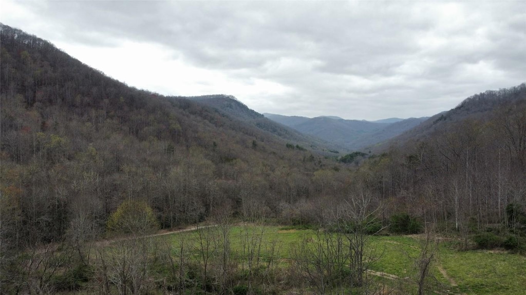 1005 Trout Creek Rd, Tuckasegee, NC 28783