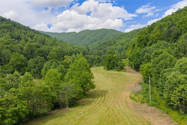 1152 Moses Creek Rd, Cullowhee, NC 28723 - photo 15