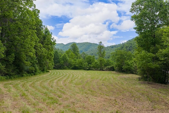 1152 Moses Creek Rd, Cullowhee, NC 28723 - photo 4
