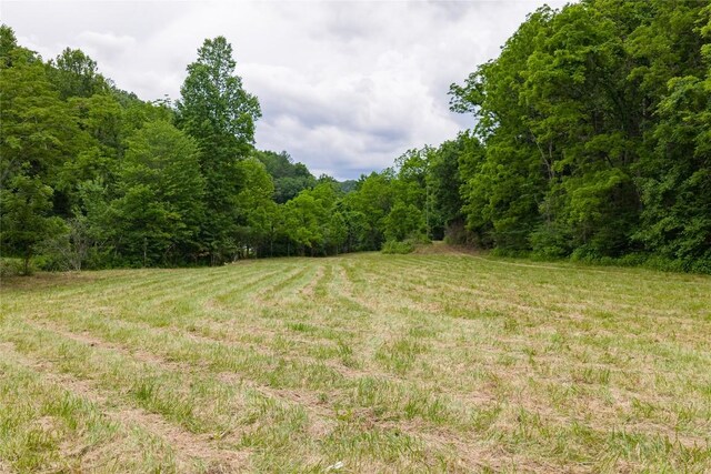1152 Moses Creek Rd, Cullowhee, NC 28723 - photo 35