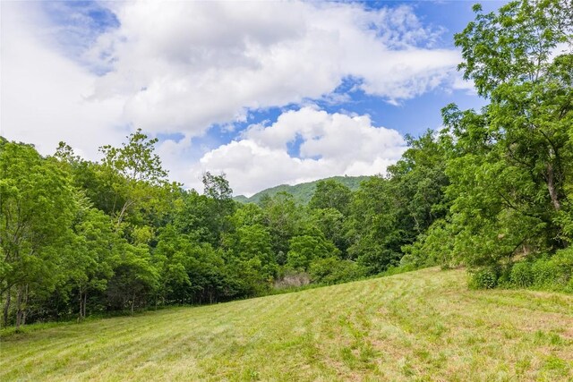 1152 Moses Creek Rd, Cullowhee, NC 28723 - photo 20