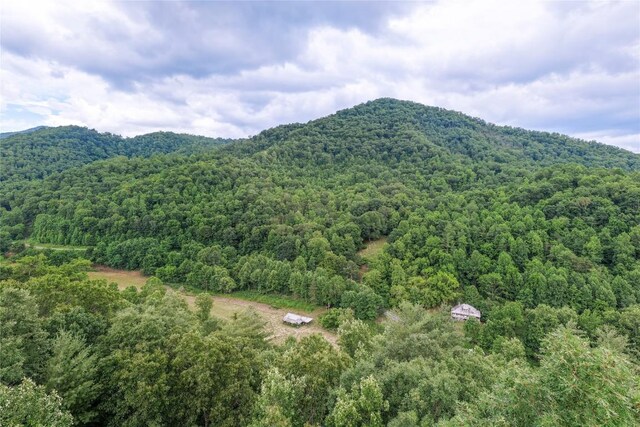 1152 Moses Creek Rd, Cullowhee, NC 28723 - photo 55