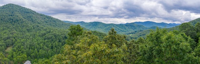 1152 Moses Creek Rd, Cullowhee, NC 28723 - photo 52