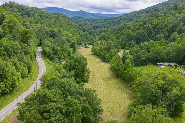 1152 Moses Creek Rd, Cullowhee, NC 28723 - photo 5
