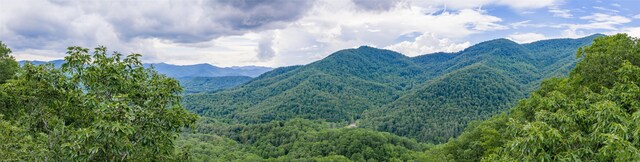 1152 Moses Creek Rd, Cullowhee, NC 28723 - photo 44