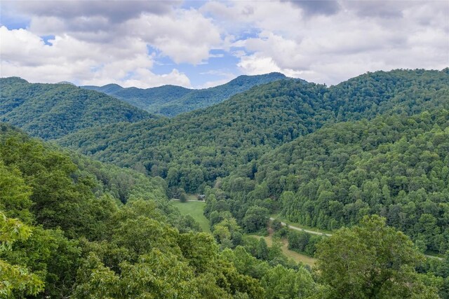 1152 Moses Creek Rd, Cullowhee, NC 28723 - photo 14