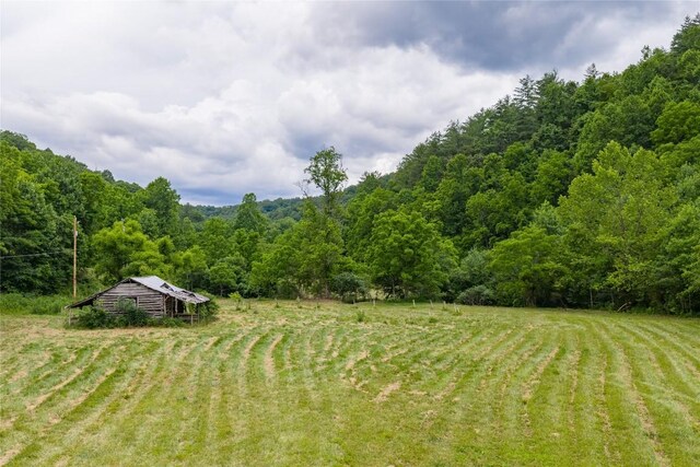 1152 Moses Creek Rd, Cullowhee, NC 28723 - photo 30