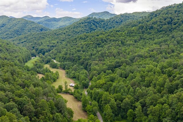 1152 Moses Creek Rd, Cullowhee, NC 28723 - photo 41