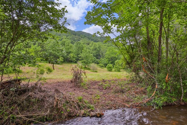 1152 Moses Creek Rd, Cullowhee, NC 28723 - photo 17