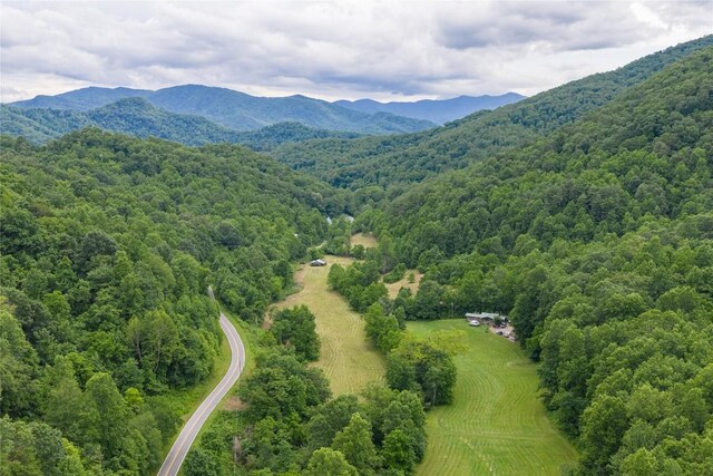 1152 Moses Creek Rd, Cullowhee, NC 28723 - photo 26