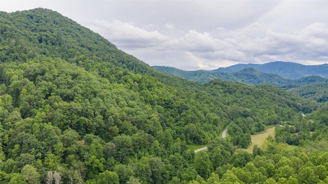 1152 Moses Creek Rd, Cullowhee, NC 28723 - photo 24