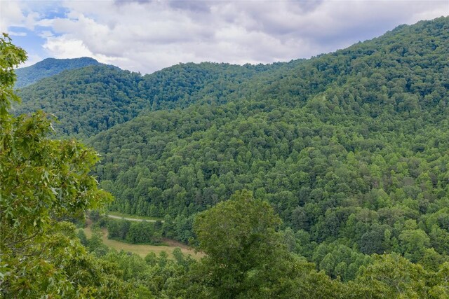 1152 Moses Creek Rd, Cullowhee, NC 28723 - photo 54