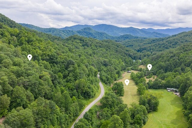 1152 Moses Creek Rd, Cullowhee, NC 28723 - photo 22