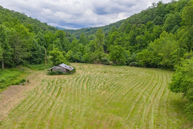 1152 Moses Creek Rd, Cullowhee, NC 28723 - photo 29