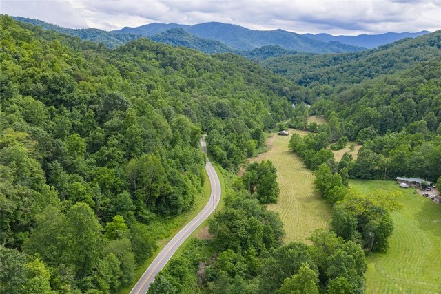 1152 Moses Creek Rd, Cullowhee, NC 28723 - photo 21