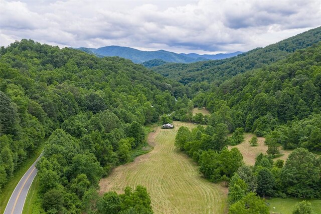 1152 Moses Creek Rd, Cullowhee, NC 28723 - photo 27