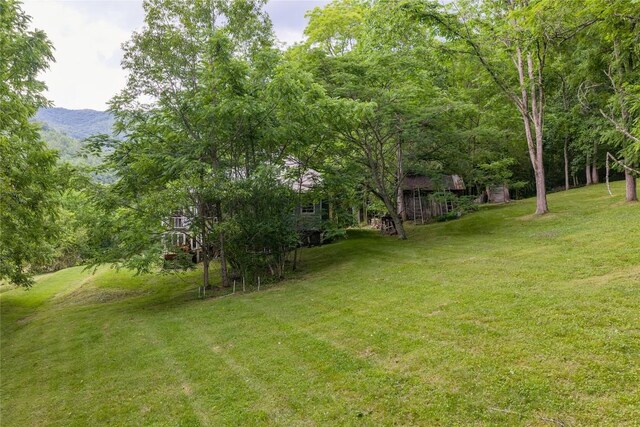1152 Moses Creek Rd, Cullowhee, NC 28723 - photo 61