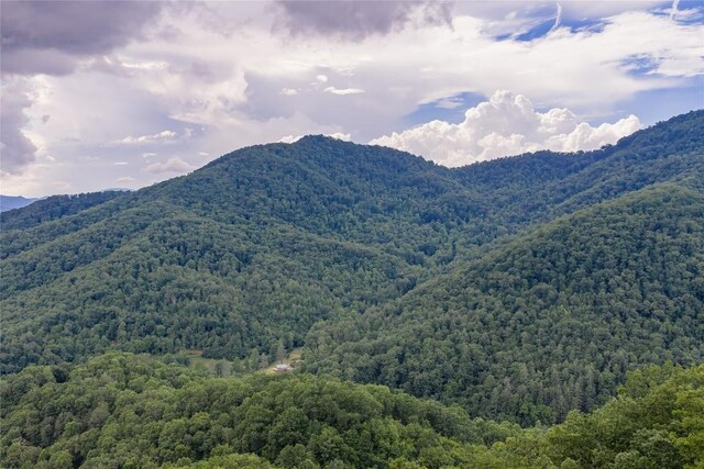 1152 Moses Creek Rd, Cullowhee, NC 28723 - photo 46