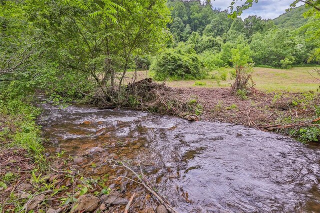 1152 Moses Creek Rd, Cullowhee, NC 28723 - photo 16