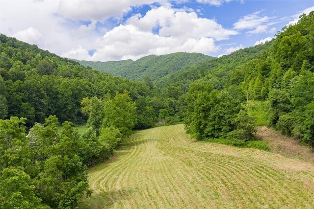 1152 Moses Creek Rd, Cullowhee, NC 28723 - photo 19