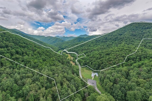 1152 Moses Creek Rd, Cullowhee, NC 28723 - photo 8