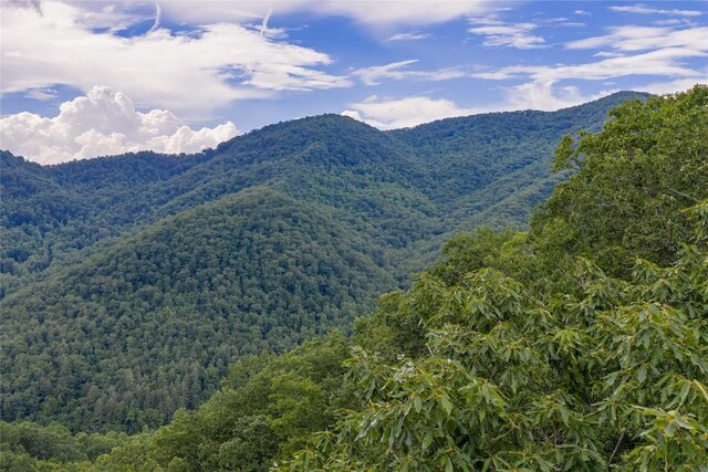 1152 Moses Creek Rd, Cullowhee, NC 28723 - photo 43
