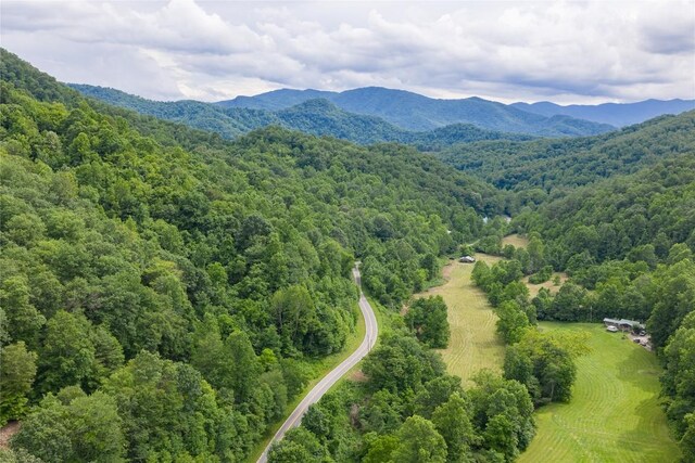 1152 Moses Creek Rd, Cullowhee, NC 28723 - photo 23