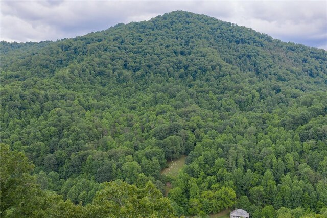 1152 Moses Creek Rd, Cullowhee, NC 28723 - photo 53