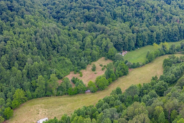 1152 Moses Creek Rd, Cullowhee, NC 28723 - photo 49