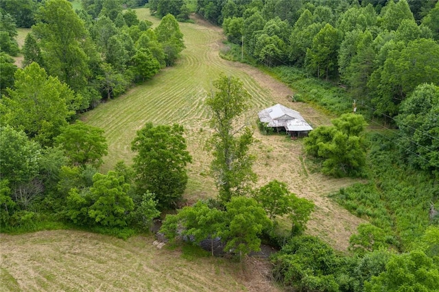 1152 Moses Creek Rd, Cullowhee, NC 28723 - photo 36
