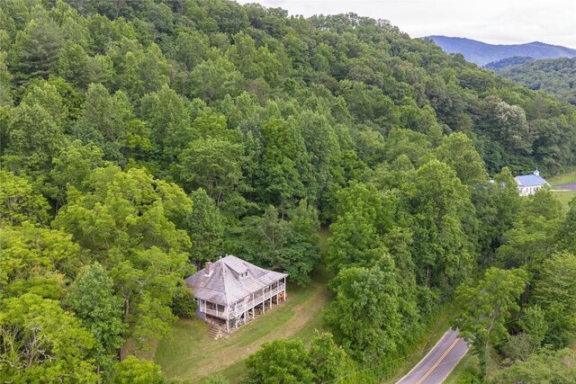 1152 Moses Creek Rd, Cullowhee, NC 28723 - photo 60