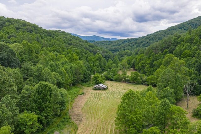 1152 Moses Creek Rd, Cullowhee, NC 28723 - photo 28