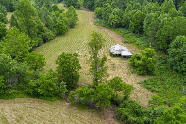 1152 Moses Creek Rd, Cullowhee, NC 28723 - photo 37