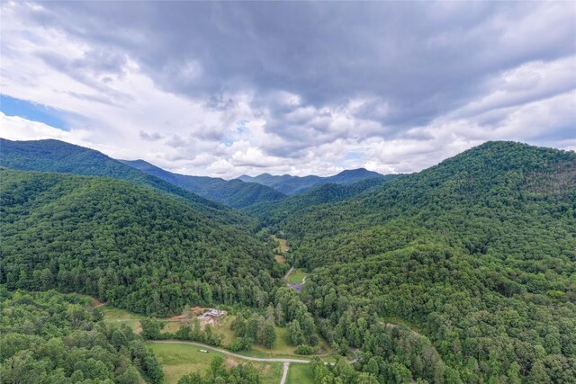 1152 Moses Creek Rd, Cullowhee, NC 28723 - photo 57