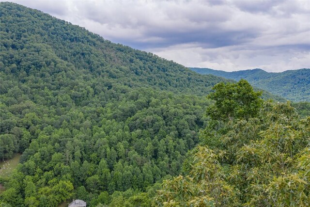 1152 Moses Creek Rd, Cullowhee, NC 28723 - photo 51