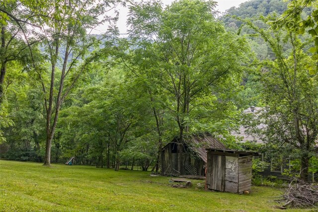 1152 Moses Creek Rd, Cullowhee, NC 28723 - photo 63