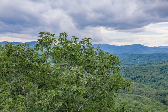 1152 Moses Creek Rd, Cullowhee, NC 28723 - photo 48