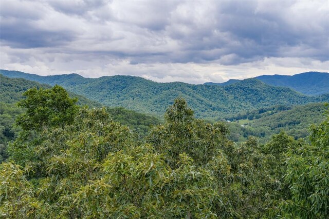 1152 Moses Creek Rd, Cullowhee, NC 28723 - photo 50