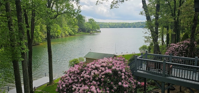 239 Island Point Rd, Lake Toxaway, NC 28747 - water view with a dock and a forest