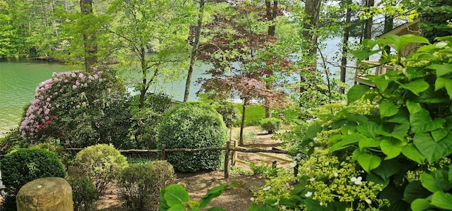 239 Island Point Rd, Lake Toxaway, NC 28747 - view of nature with a nearby body of water