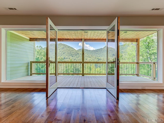 entryway featuring a mountain view, wood-type flooring, and a wealth of natural light