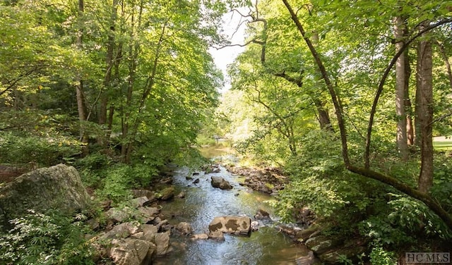 view of local wilderness