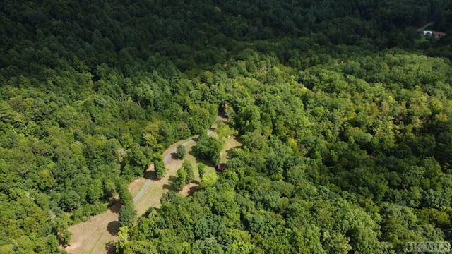 TR1-3 Moody Bridge Rd, Cullowhee, NC 28723 - photo 6